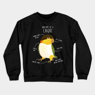 Anatomy of a Black-Headed Caique Crewneck Sweatshirt